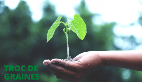 Mise en beauté de la grainothèque